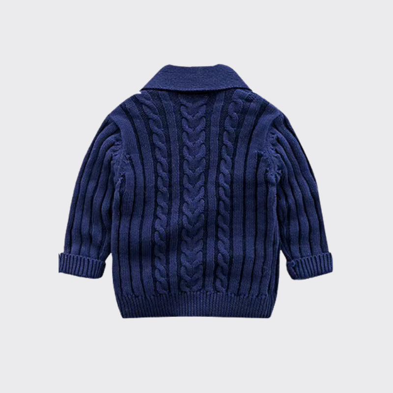 Cable knit cardigan blue back